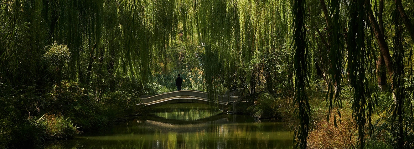 Person standing on bridge